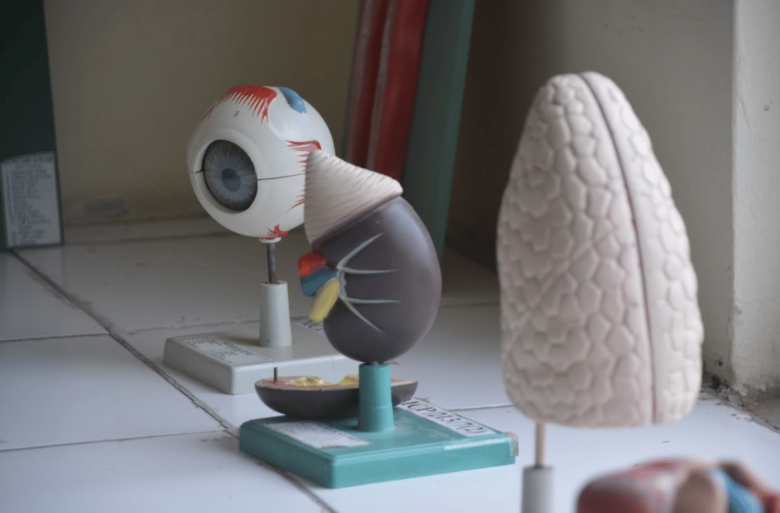 Maya Devi University Powered by Emversity Laboratory photo 11